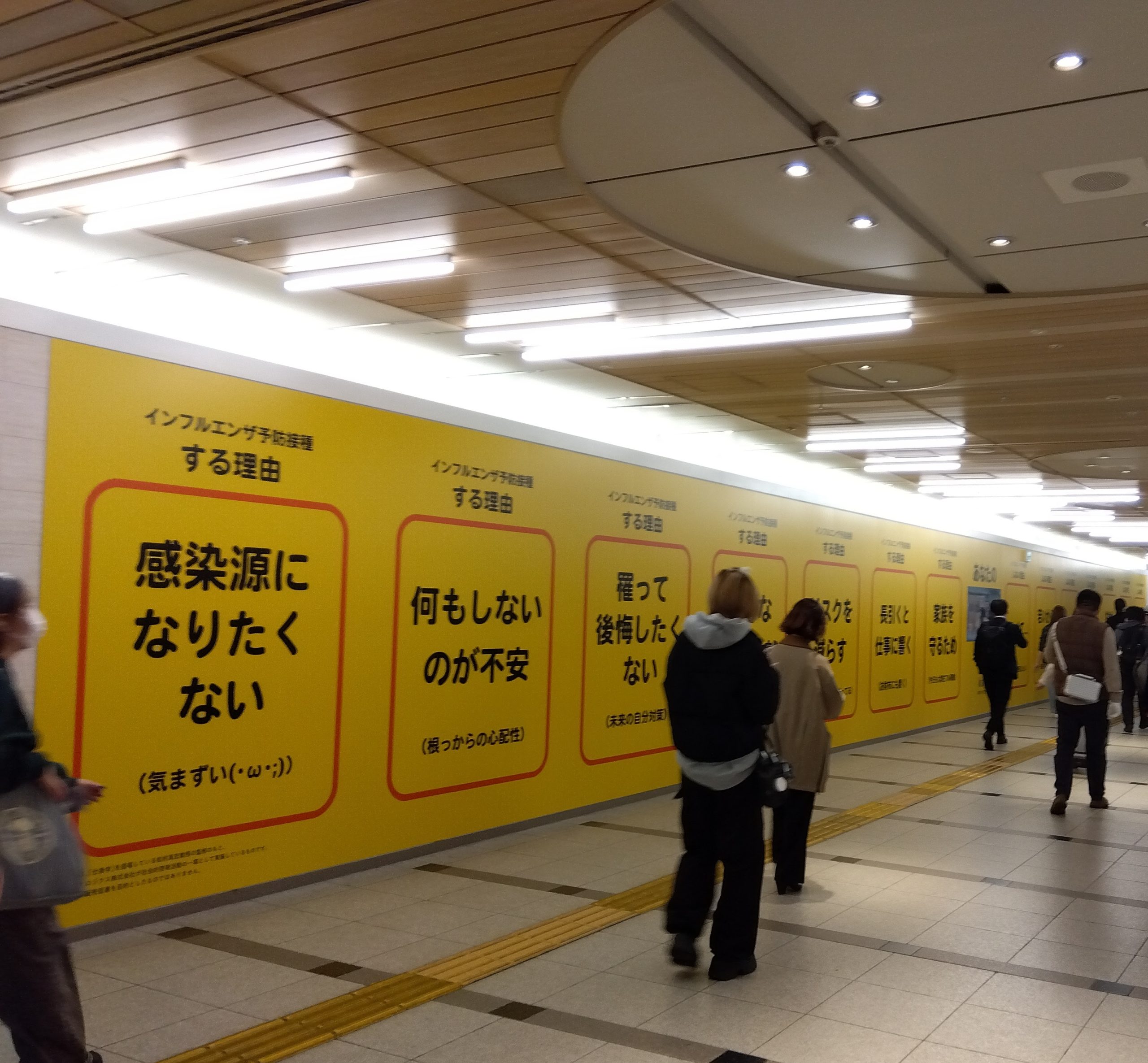 【インフルエンザ予防接種『する理由』『しない理由』】