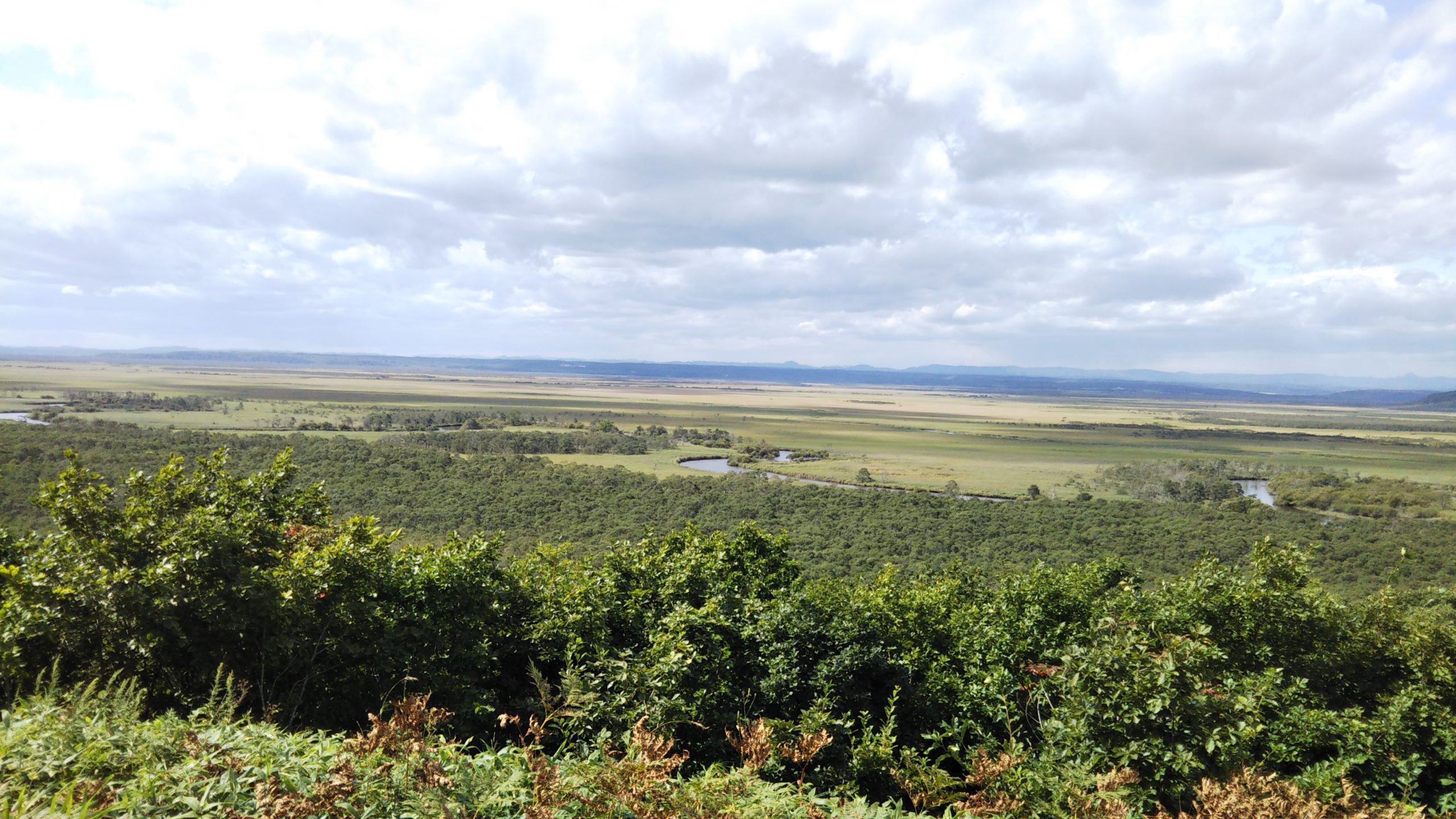Xでトレンド入りしました！北海道の純国産お菓子メーカーを応援しましょう！